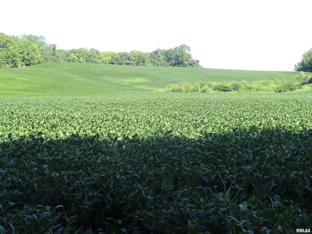 0 N Highway 9 County Road, Lewistown, IL 61542