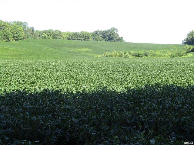 0 N Highway 9 County Road, Lewistown, IL 61542