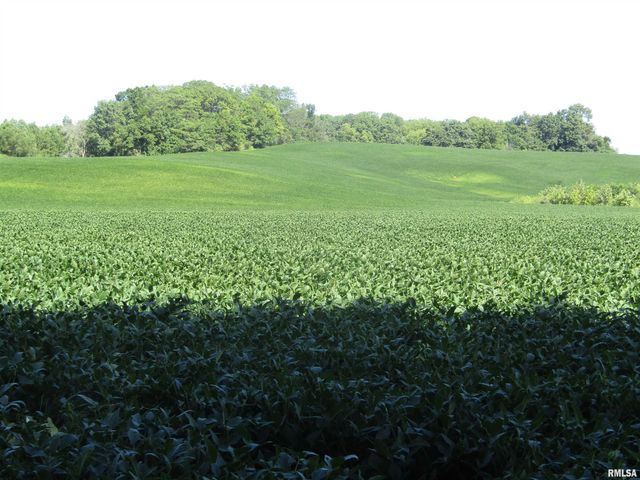 0 N Highway 9 County Road, Lewistown, IL 61542