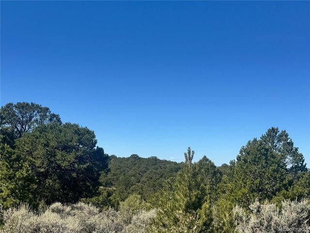 lot 7878 Stone Road, Fort Garland, CO 81133