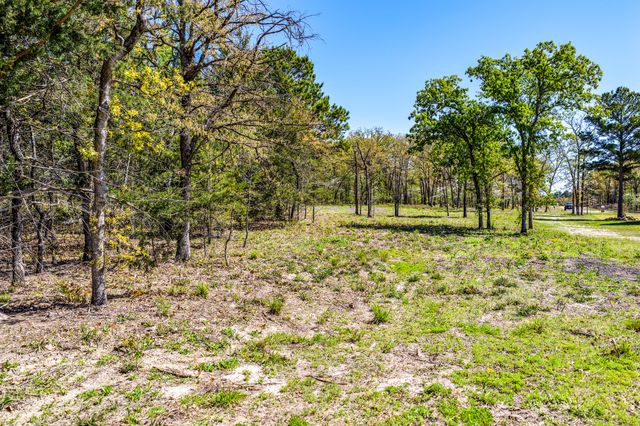 TBD LOt 49 Private Road 6305, Mineola, TX 75773