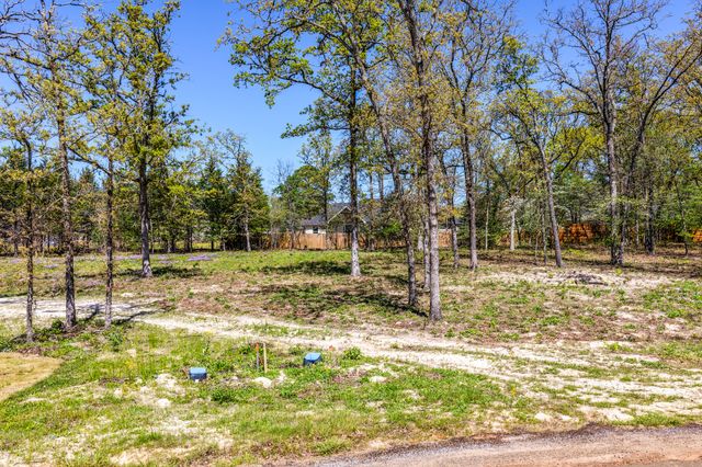 TBD LOt 49 Private Road 6305, Mineola, TX 75773