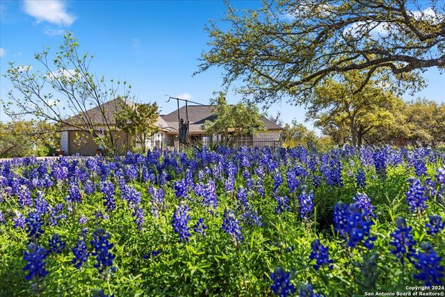 300 Logans Way, Blanco, TX 78606