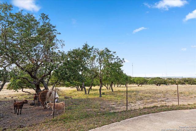 300 Logans Way, Blanco, TX 78606