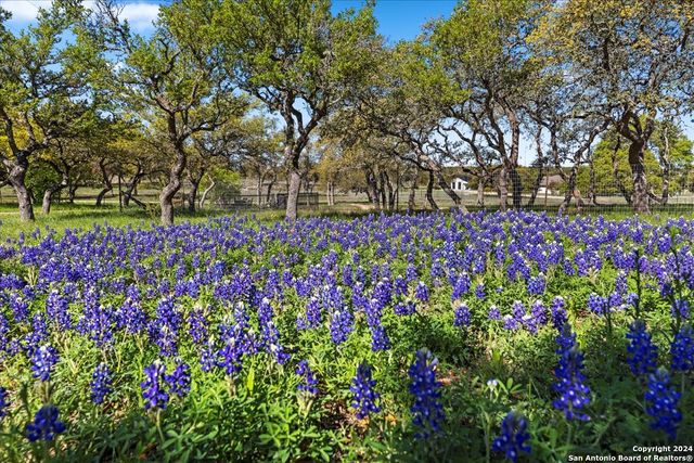 300 Logans Way, Blanco, TX 78606