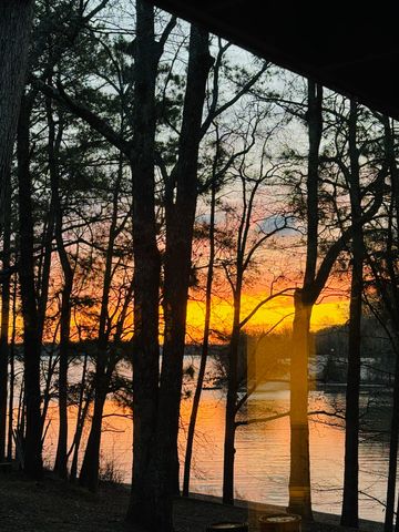330 Russwood Dr, Springville, TN 38256