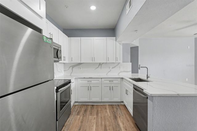 5125 PALM SPRINGS BOULEVARD 4203, Tampa, FL 33647