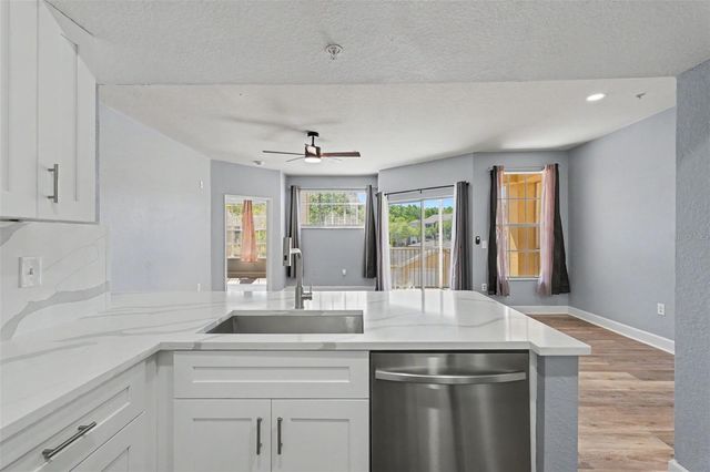 5125 PALM SPRINGS BOULEVARD 4203, Tampa, FL 33647