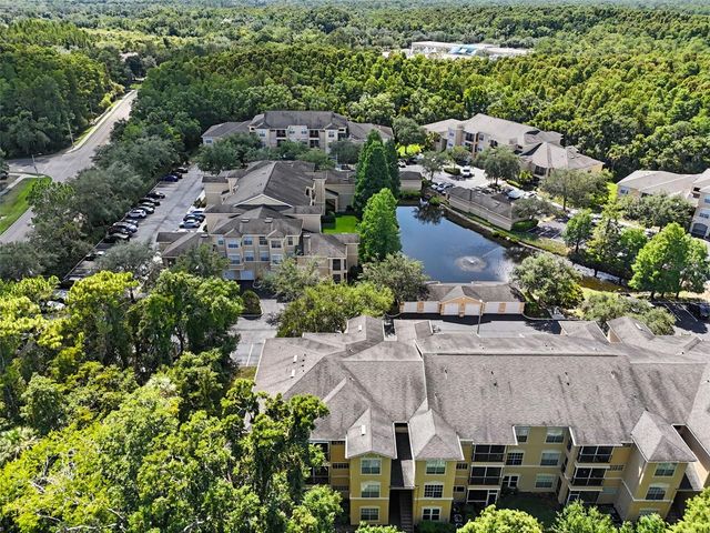 5125 PALM SPRINGS BOULEVARD 4203, Tampa, FL 33647