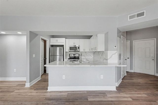 5125 PALM SPRINGS BOULEVARD 4203, Tampa, FL 33647