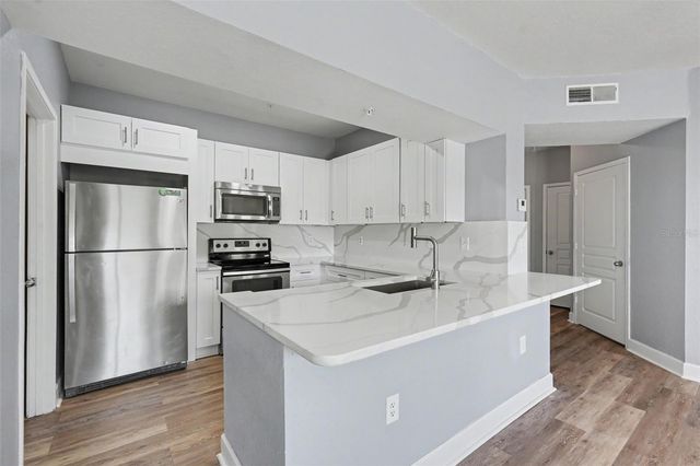 5125 PALM SPRINGS BOULEVARD 4203, Tampa, FL 33647