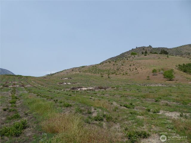 5 Roses View Lane, Manson, WA 98831