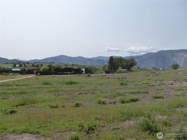 5 Roses View Lane, Manson, WA 98831