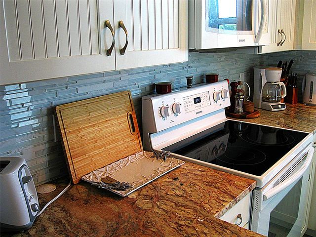 876 AUDUBON DRIVE 876, Bradenton, FL 34209