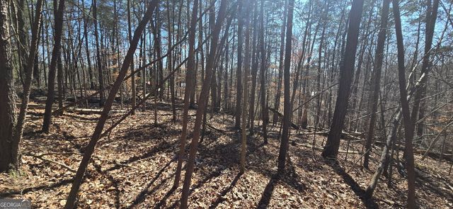 TRACT 2 Friendship Trail, Talking Rock, GA 30175