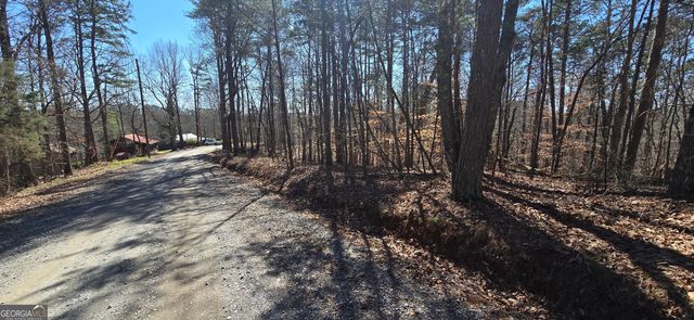 TRACT 2 Friendship Trail, Talking Rock, GA 30175