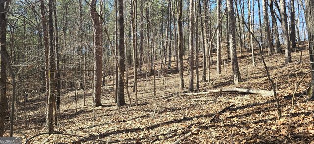 TRACT 2 Friendship Trail, Talking Rock, GA 30175