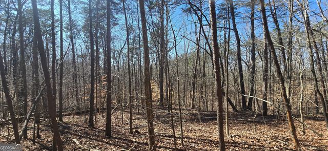 TRACT 2 Friendship Trail, Talking Rock, GA 30175