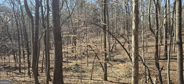 TRACT 2 Friendship Trail, Talking Rock, GA 30175