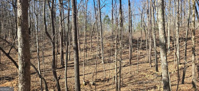 TRACT 2 Friendship Trail, Talking Rock, GA 30175