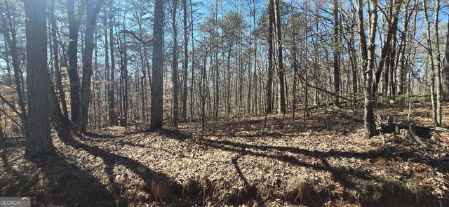 TRACT 2 Friendship Trail, Talking Rock, GA 30175