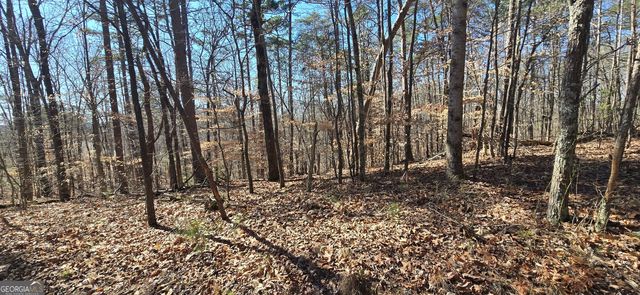 TRACT 2 Friendship Trail, Talking Rock, GA 30175