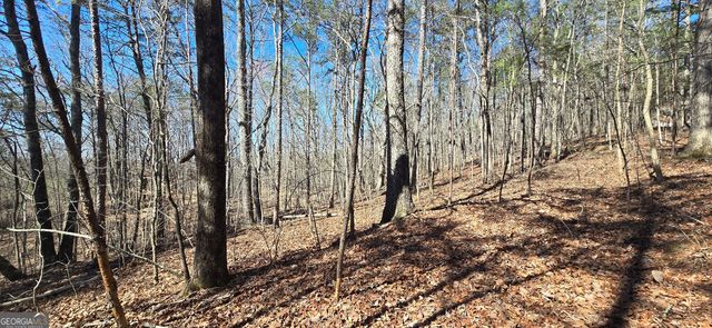 TRACT 2 Friendship Trail, Talking Rock, GA 30175