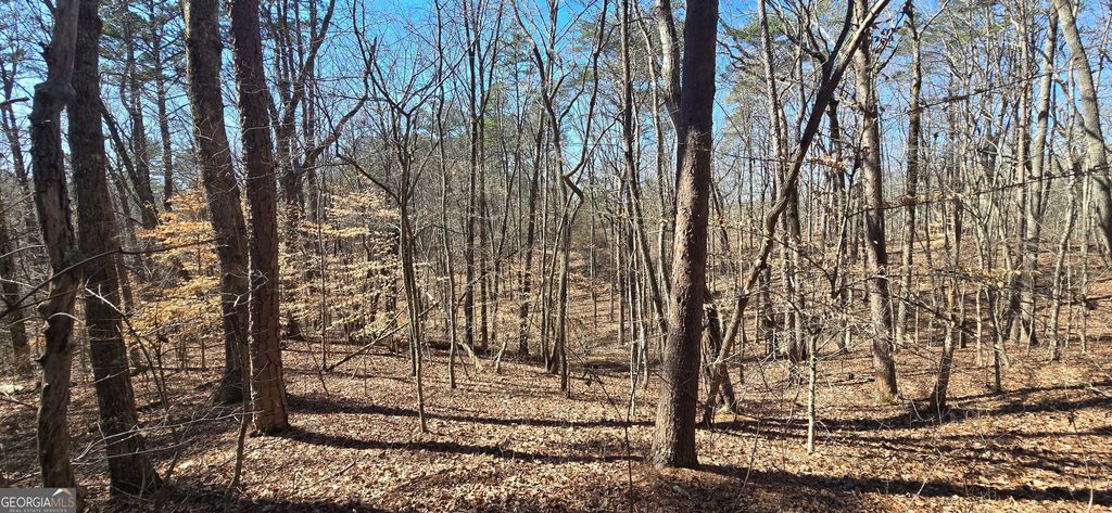 TRACT 2 Friendship Trail, Talking Rock, GA 30175