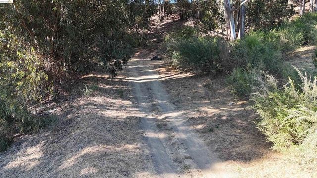 8 Hiller Dr., Oakland, CA 94618