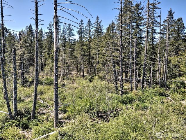 1161 NE Toonerville Drive, Belfair, WA 98528
