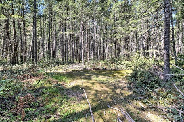 1161 NE Toonerville Drive, Belfair, WA 98528