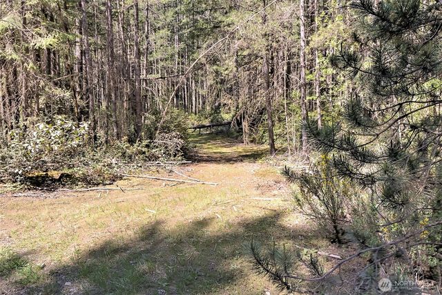 1161 NE Toonerville Drive, Belfair, WA 98528