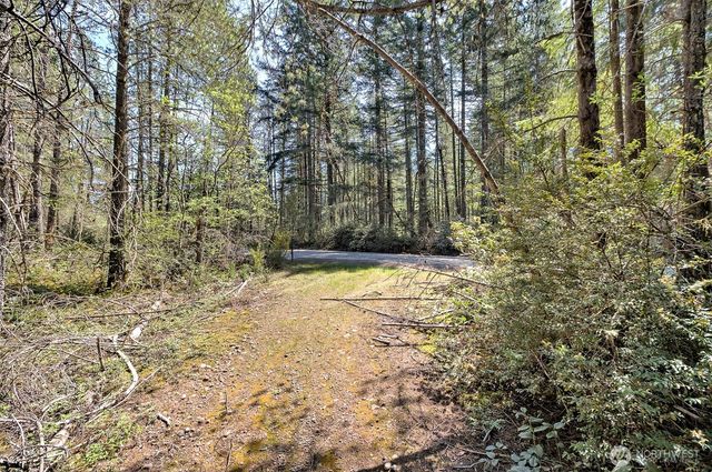 1161 NE Toonerville Drive, Belfair, WA 98528