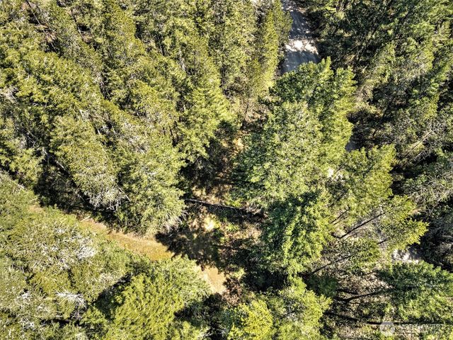1161 NE Toonerville Drive, Belfair, WA 98528