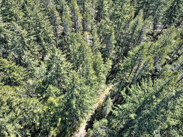 1161 NE Toonerville Drive, Belfair, WA 98528