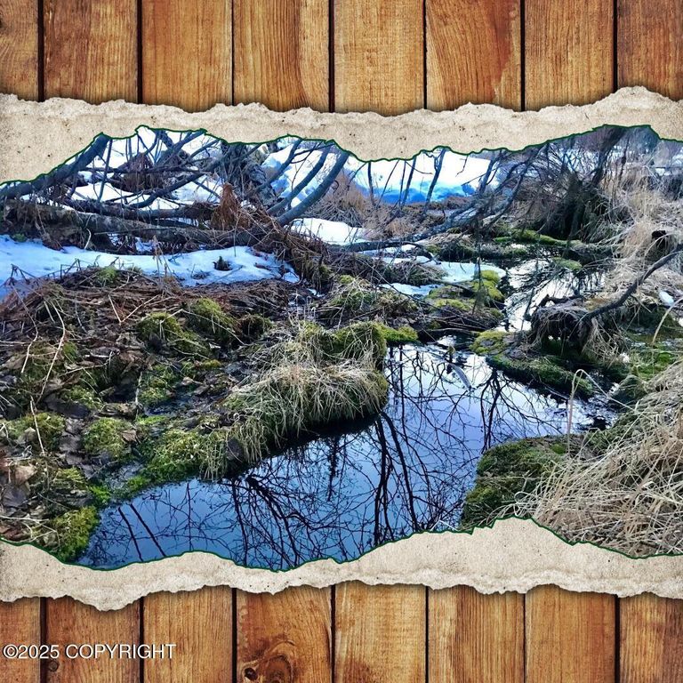 14235 Caribou Hills Rem, Ninilchik, AK 99639