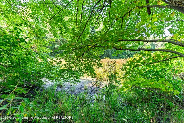 6421 Lounsbury Road, Williamston, MI 48895