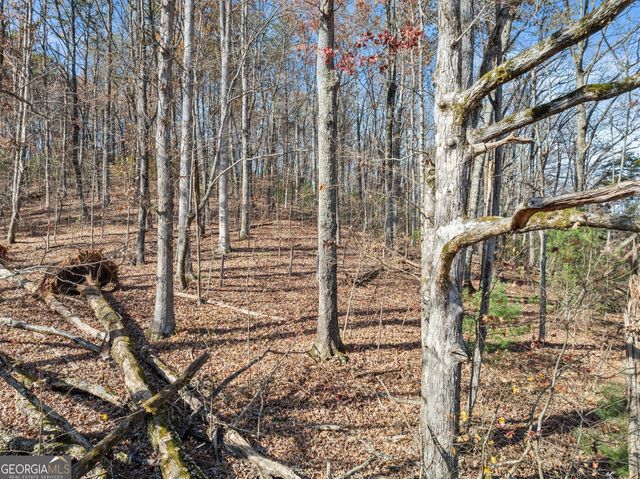 LOT 50 & 51 Meadow Crest Drive, Cleveland, GA 30528