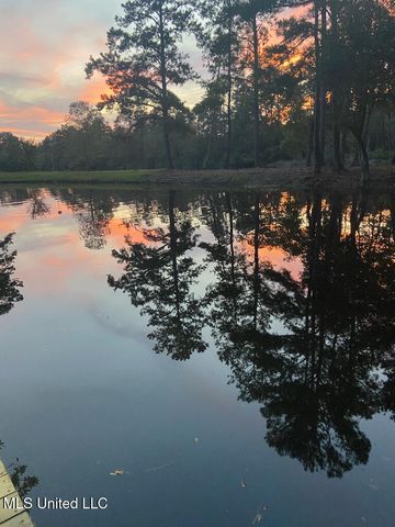 1836 E Lakeshore Drive, Carriere, MS 39426