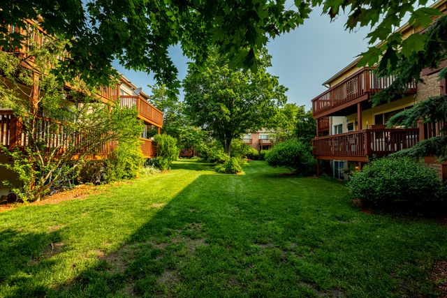 4218 Packard Street, Ann Arbor, MI 48108