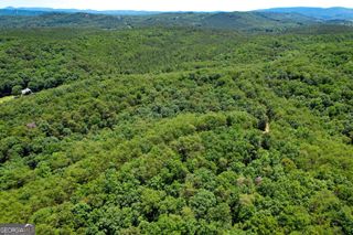 111 +/- Acres off Slate Mine Road, Fairmount, GA 30139