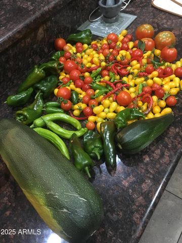 2690 W JACLYN Drive, Flagstaff, AZ 86001