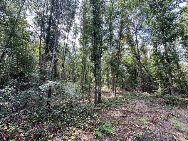 2510 County Road 4700, Silsbee, TX 77656