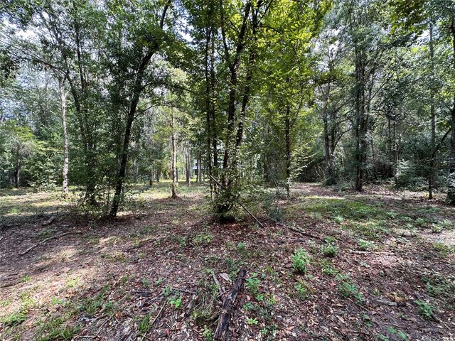 2510 County Road 4700, Silsbee, TX 77656