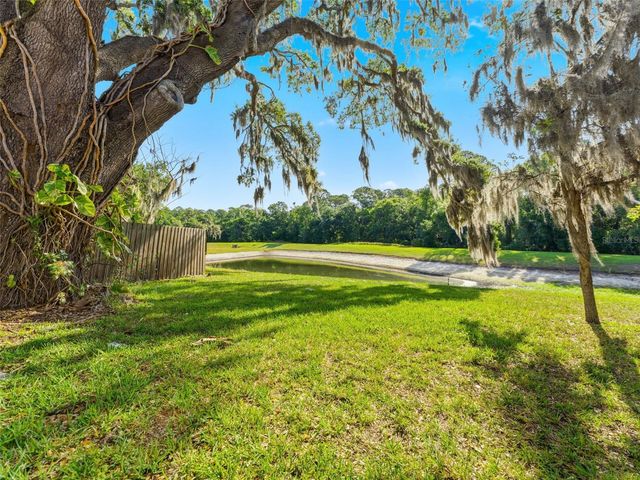 15123 DEER MEADOW DRIVE, Lutz, FL 33559