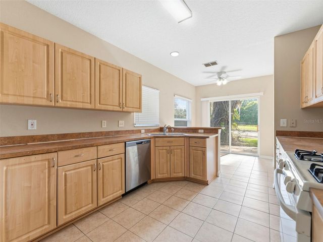 15123 DEER MEADOW DRIVE, Lutz, FL 33559
