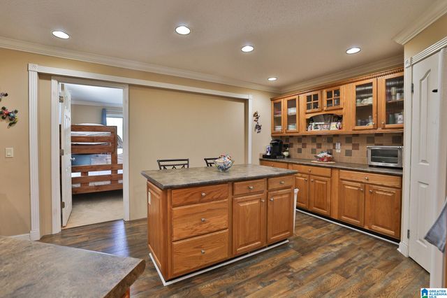 390 COOSA ISLAND ROAD, Cropwell, AL 35054
