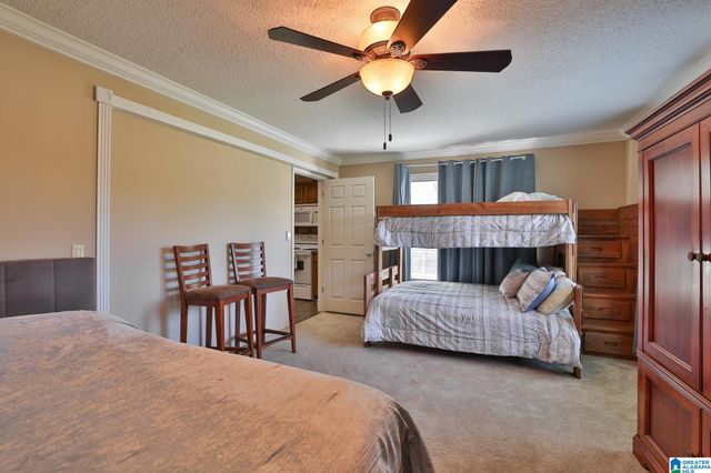 390 COOSA ISLAND ROAD, Cropwell, AL 35054
