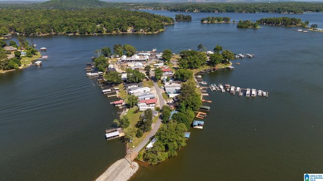 390 COOSA ISLAND ROAD, Cropwell, AL 35054