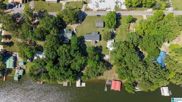 390 COOSA ISLAND ROAD, Cropwell, AL 35054